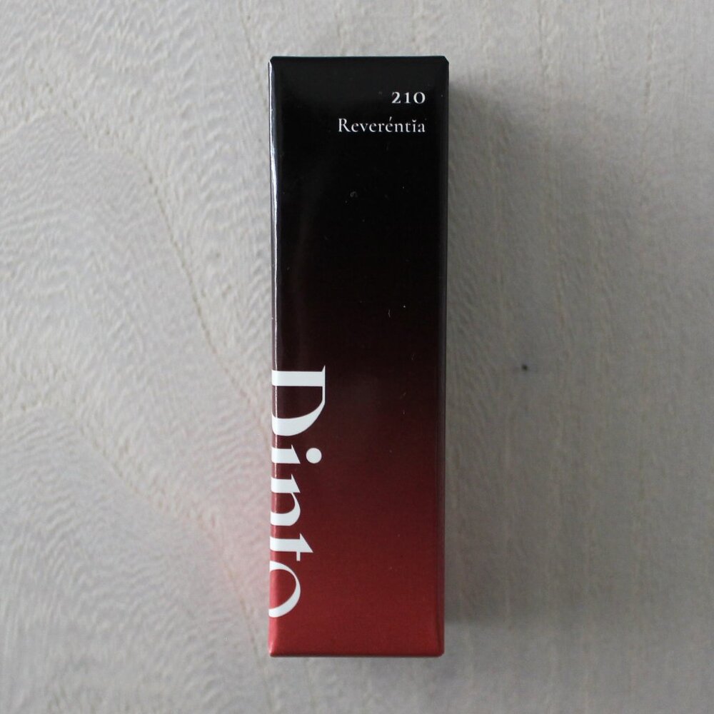 NEW Dinto Blur-Glowy Lip Tint Hydrating Shine Lip Gloss, Shade 210 Reverentia